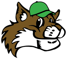 Boys Golf Team Defeats Badin, 163-173