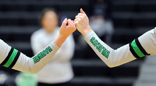 GIRLS VOLLEYBALL: Unbeaten Wildcats Rally Past Lakota East For 10th Straight Win